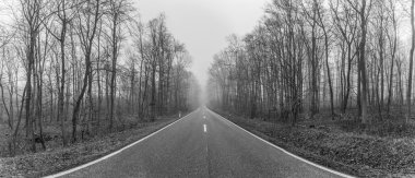 Otoban Thüringen'kış orman ortamındaki