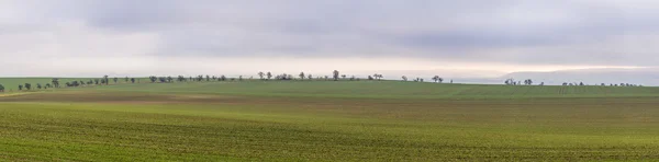 Сельская местность с полями — стоковое фото