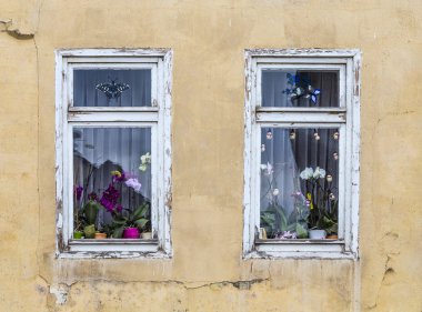 pencere içinde orkide çiçek dekorasyonu ile