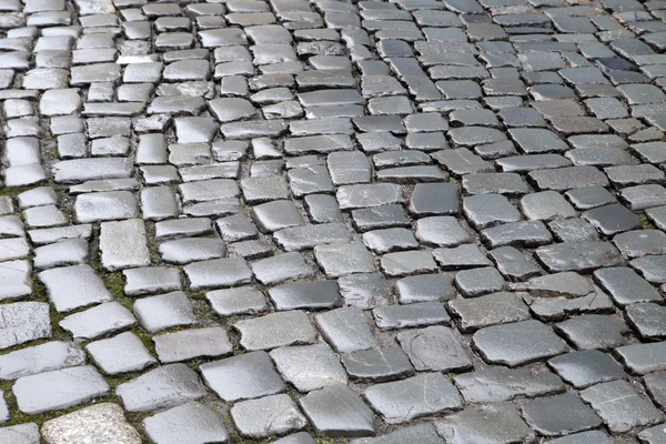 Mönster av våta cobble sten — Stockfoto