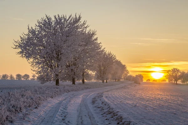 Puesta de sol en el paisaje de invierno en Bad Frankenhausen — Foto de Stock