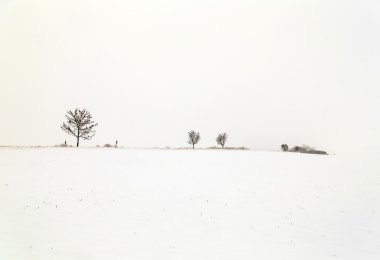 Karda beyaz buz gibi ağaçlar manzara kaplı