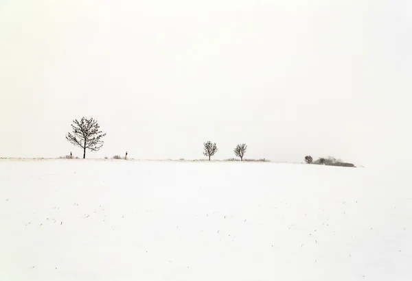 Pokrývaly bílé ledové stromy sněhem krajina — Stock fotografie