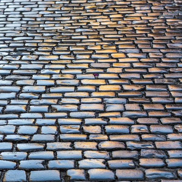 Pattern of wet cobble stones — Stock Photo, Image