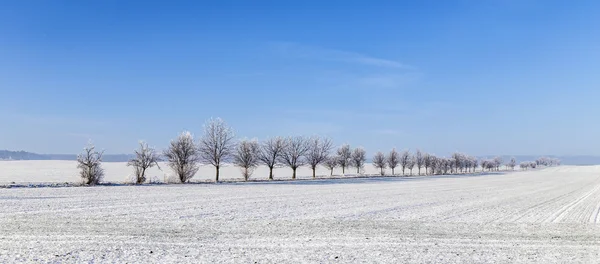 Beco em paisagem de inverno coberto de neve — Fotografia de Stock