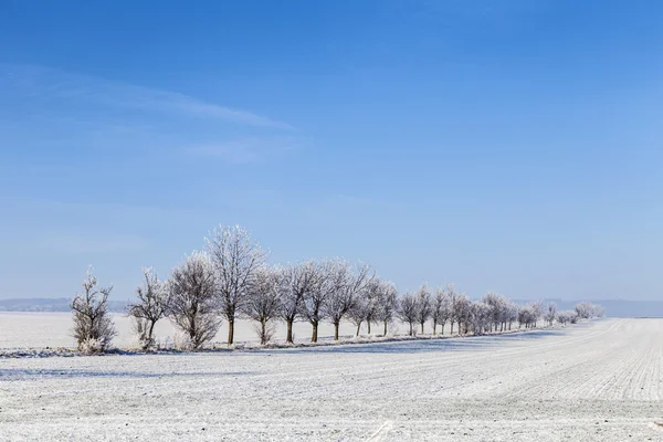 Beco em paisagem de inverno coberto de neve — Fotografia de Stock