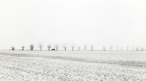 小巷里的冬季景观覆盖着雪 — 图库照片