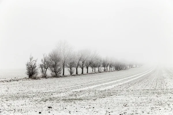 小巷里的冬季景观覆盖着雪 — 图库照片