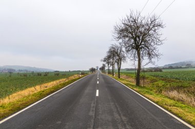 Kış inrural alanında leaveless ağaçlar 