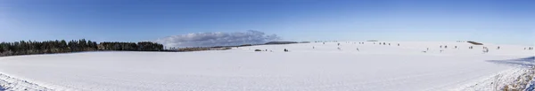 Panoramico panorama invernale con alberi — Foto Stock