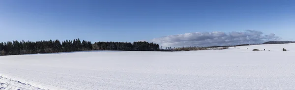 Panoramico panorama invernale con alberi — Foto Stock