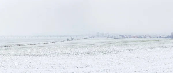 Paisaje rural en Bad Frankenhausen en la nieve —  Fotos de Stock