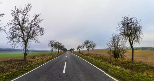 Panorama of field landscape at Kyffhaeuser — Stock Photo, Image