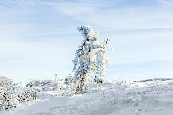 Sole sotto il paesaggio di montagna calmo inverno con bella — Foto Stock