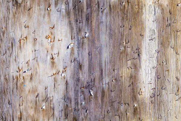 Mur en bois pourri grungy avec de vieilles épingles — Photo