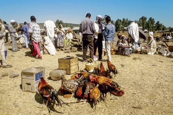 Ludzie przy rynku głównym w Aksum, Etiopia — Zdjęcie stockowe