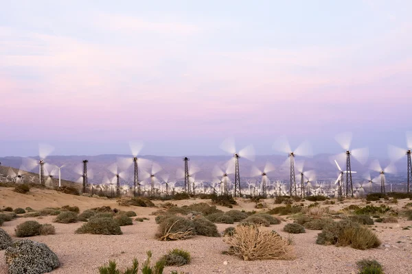 Windmills in Palm Springs — Stock Photo, Image