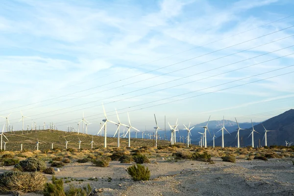 Windmills in Palm Springs — Stock Photo, Image