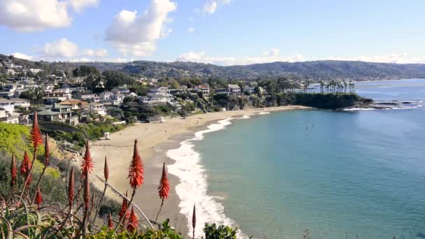 加利福尼亚拉古纳海滩新月湾海滩美丽的悬崖边景展现了美丽的碧绿海水和白色沙滩 — 图库视频影像