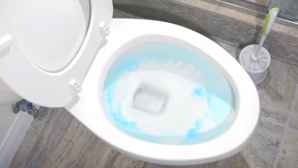 Temizlikçi Tuvaleti Temizler Sonra Sifonu Çeker Işi Bitirir — Stok video