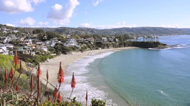 Vacker Utsikt Över Crescent Bay Beach Laguna Beach Kalifornien Visar — Stockvideo