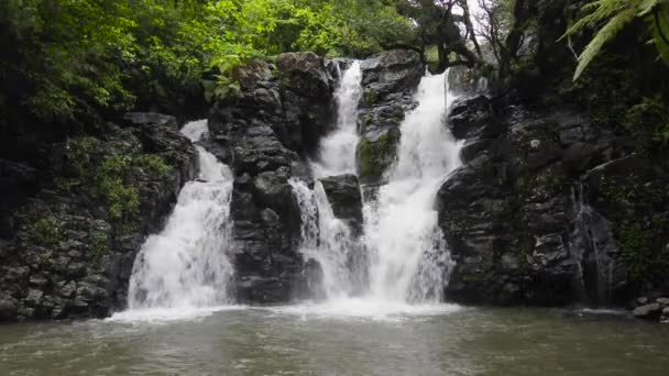 Uitzicht Een Tropische Waterval Fiji Als Deze Uitmondt Een Natuurlijk — Stockvideo