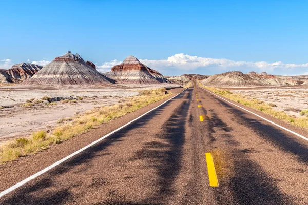ペトリファイドフォレスト国立公園の中心部にある遠くの道路は 風光明媚なドライブ中の塗装砂漠の美しい山の景色を示しています — ストック写真