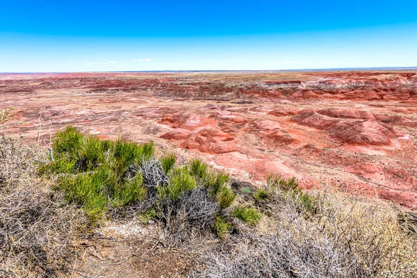 粉刷过的沙漠国家公园群山的全景展现了使公园得名的美丽的地质结构 图案和色彩 — 图库照片