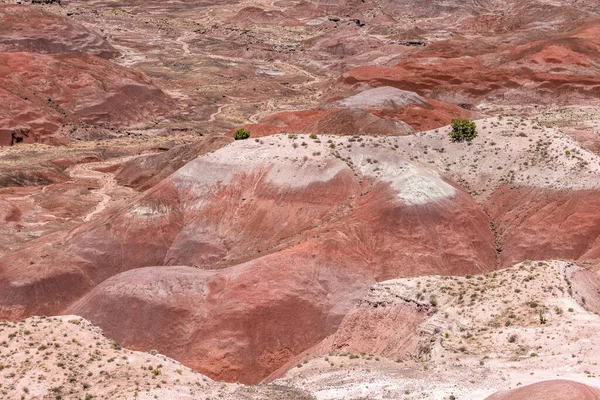 Panoramic View Painted Desert National Park Mountains Shows Beautiful Geologic — Stock Photo, Image