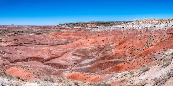 Panoramic View Painted Desert National Park Mountains Shows Beautiful Geologic — Stock Photo, Image