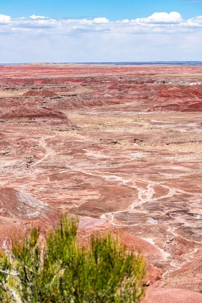 粉刷过的沙漠国家公园群山的全景展现了使公园得名的美丽的地质结构 图案和色彩 — 图库照片