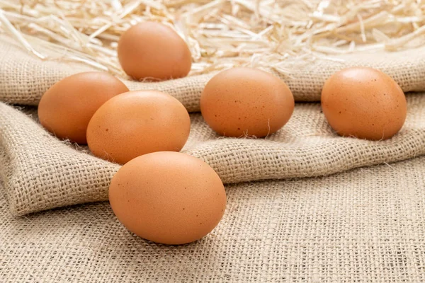 Assortment Freshly Laid Brown Eggs Rest Atop Burlap Hay Showing — Stock Photo, Image