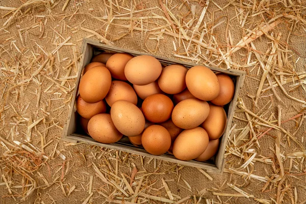 Una Pequeña Caja Huevos Gallina Marrón Recién Recogidos Descansa Sobre — Foto de Stock