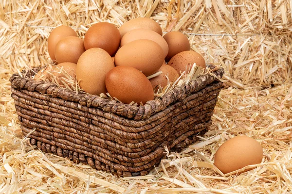 Small Brown Basket Freshly Collected Eggs Resting Barn Hay Shows — Stock Photo, Image