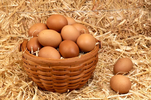 Uma Pequena Cesta Castanha Ovos Recém Colhidos Descansando Feno Celeiro — Fotografia de Stock