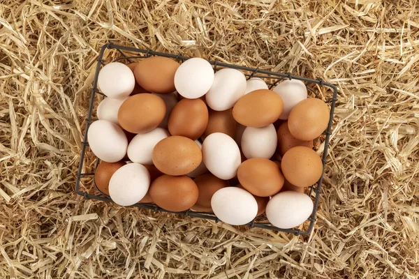 Uma Pequena Cesta Arame Ovos Castanhos Brancos Recém Coletados Sentados — Fotografia de Stock