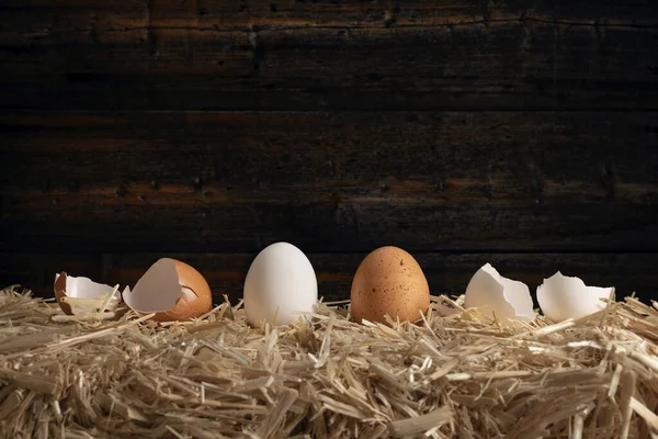 Una Fila Huevos Enteros Agrietados Una Paca Heno Con Pared — Foto de Stock