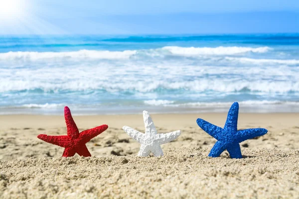 Estrella de mar en la playa durante el 4 de julio —  Fotos de Stock