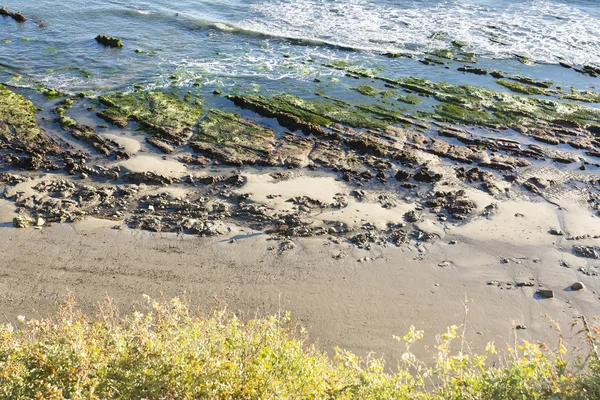 Tidepools — Stock Photo, Image