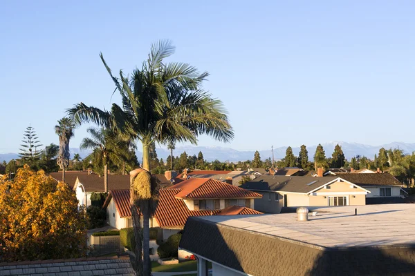 Home rooftops — Stock Photo, Image