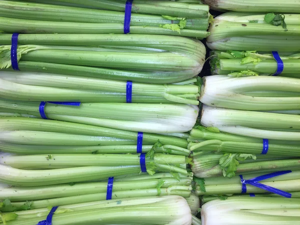 Celery — Stock Photo, Image