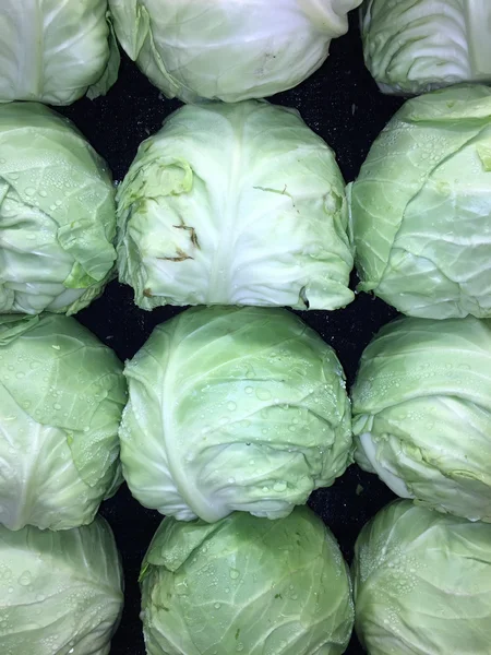 Green cabbage — Stock Photo, Image