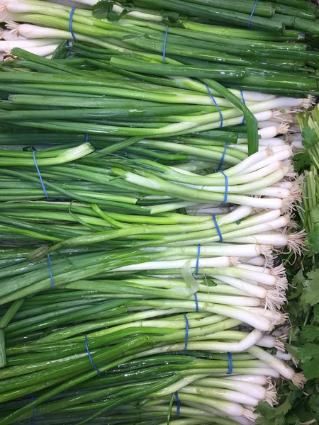 Green onions — Stock Photo, Image