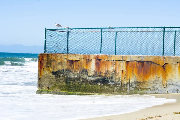 Coastal protection groin — Stock Photo, Image