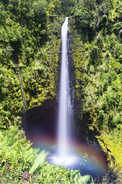 Akaka Falls Hawaii clipart