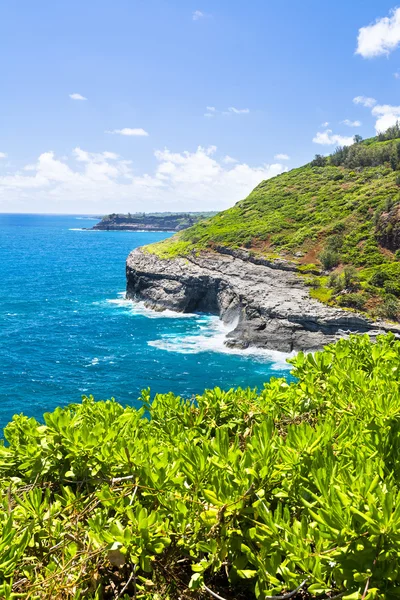 Seabird élőhely Kauai Hawaii — Stock Fotó