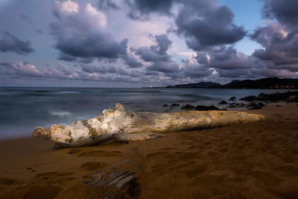 Log on Hawaiin beach — Stock Photo, Image