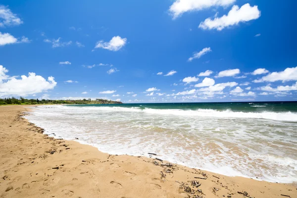 Tropischer hawaiianischer Strand — Stockfoto