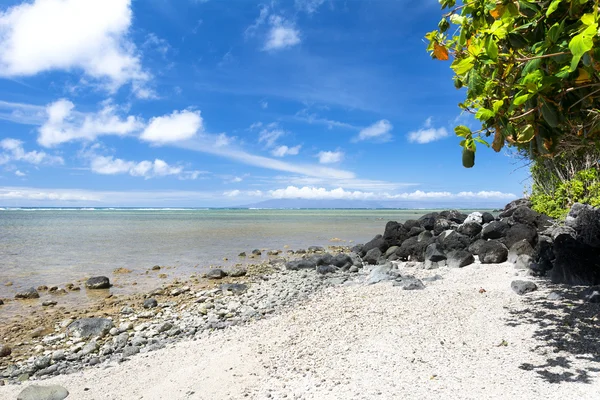 Hawaiian beach — Stockfoto