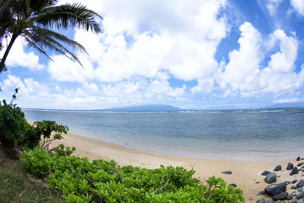 夏威夷的热带海滩 — 图库照片